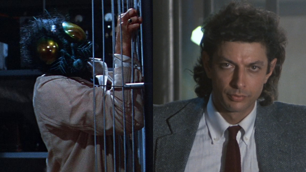 "Side-by-side comparison of two scenes from films about a man transforming into a fly."