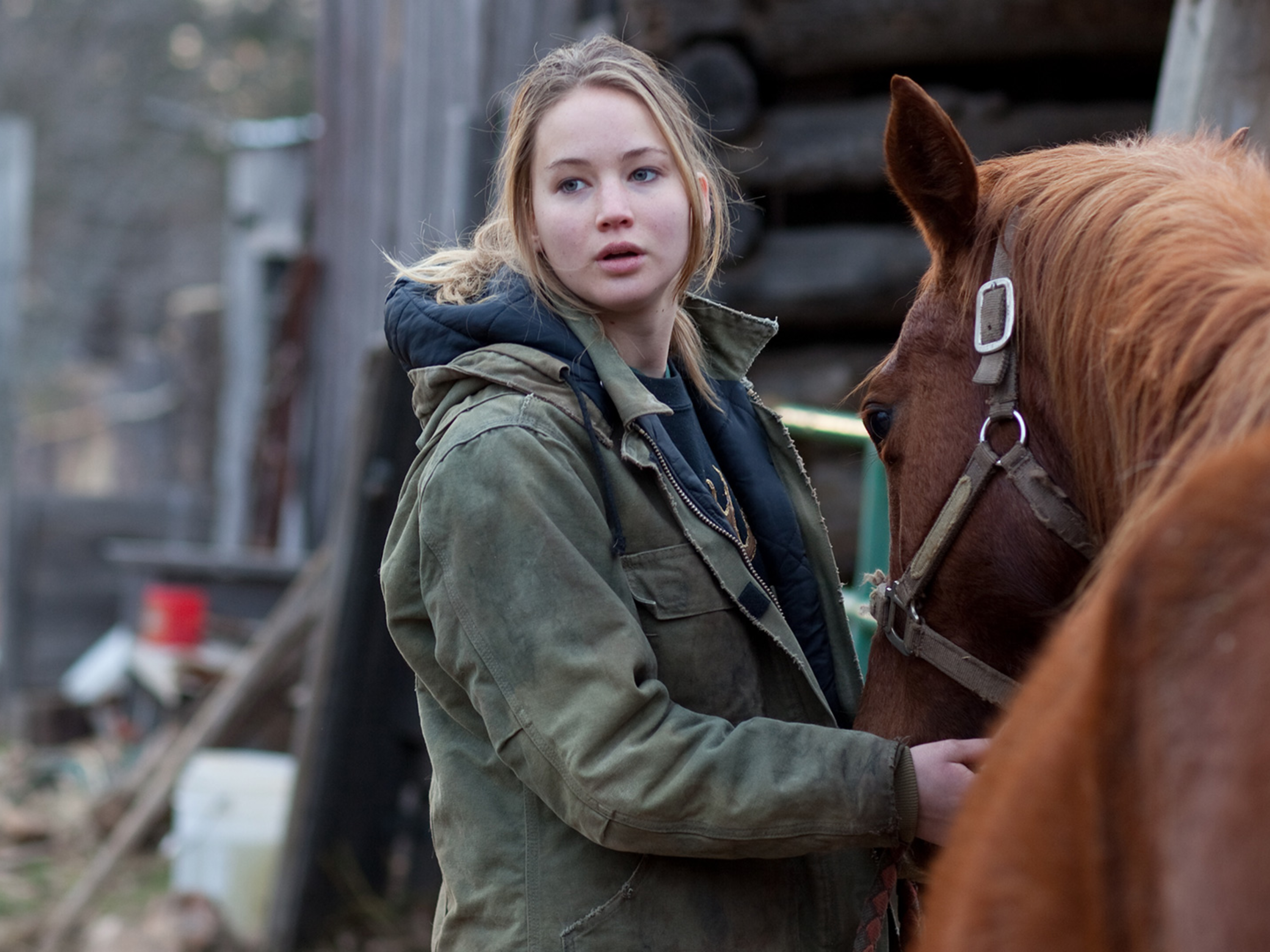 "A lady wearing a green jacket standing beside a horse."