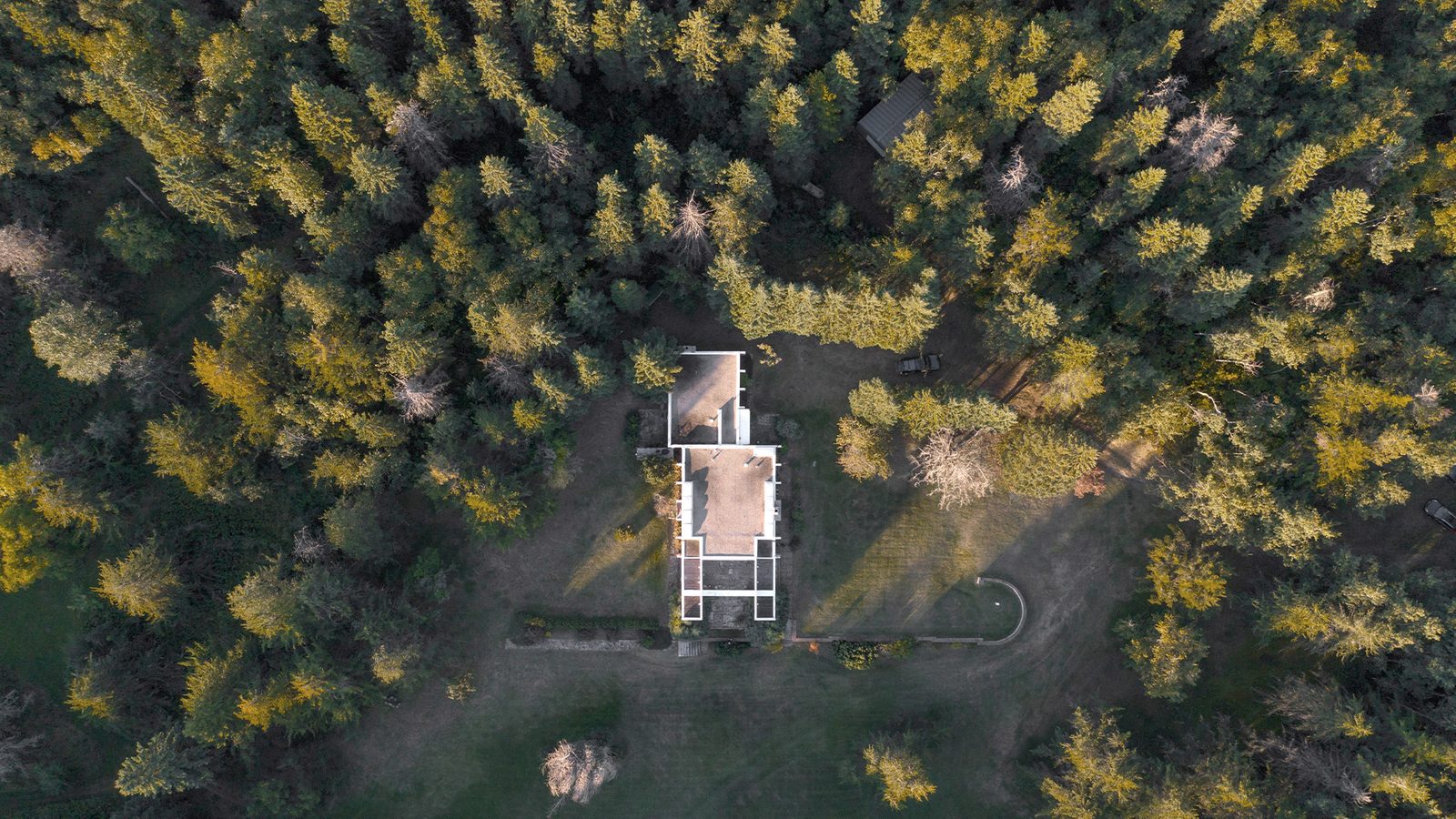 Aerial view of a house nestled among lush green trees, showcasing a serene and natural environment.