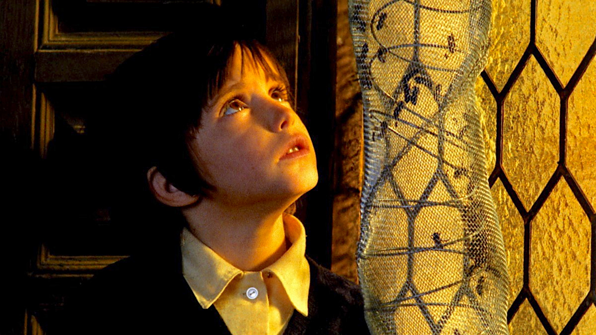 A young child with dark hair and a pale yellow shirt looks up toward a warm, golden light filtering through a patterned curtain. The expression on the child’s face is one of wonder or curiosity.