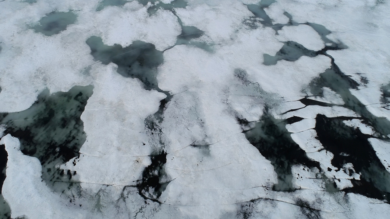 Aerial view of cracked, melting sea ice with dark patches of open water and translucent greenish sections where the ice is thinning. The irregular patterns and fissures create an abstract, textured landscape, highlighting the fragility of the frozen surface.