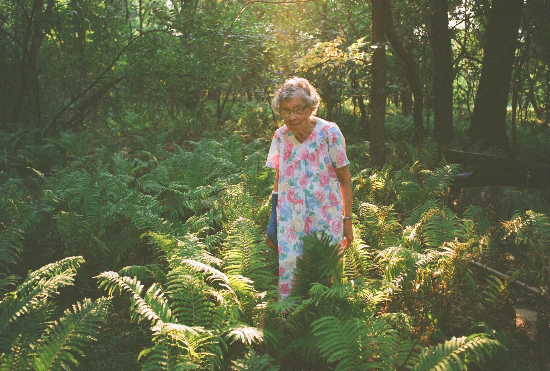 AA An elderly woman in a floral dress walks through a sunlit forest, surrounded by lush green ferns and tall trees, with warm light filtering through the foliage.